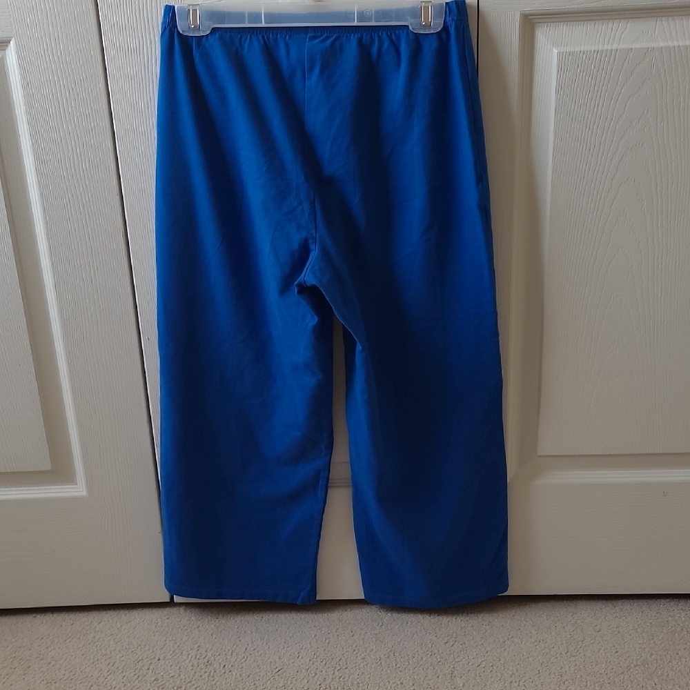 Women with Control Full Leg Crop Pants  (M) - Picture 3 of 3